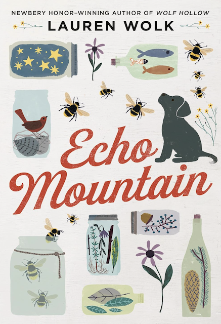 Echo Mountain book review